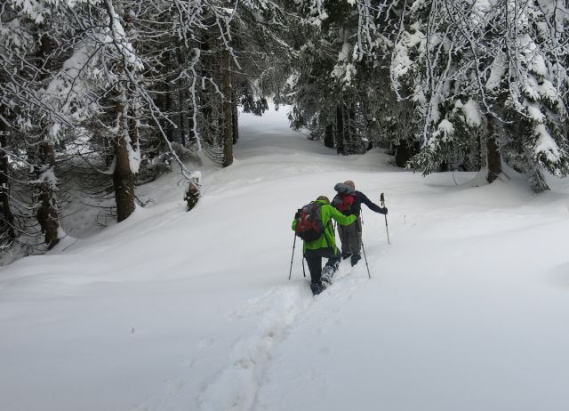 Star ljubelj, 19.02.2016 - foto