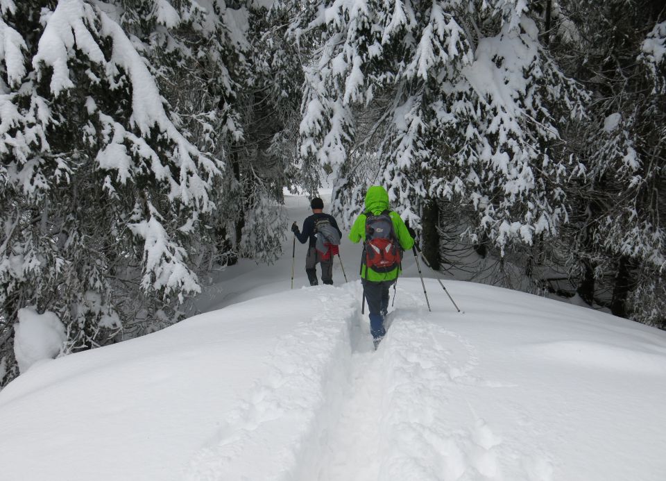 Star ljubelj, 19.02.2016 - foto povečava