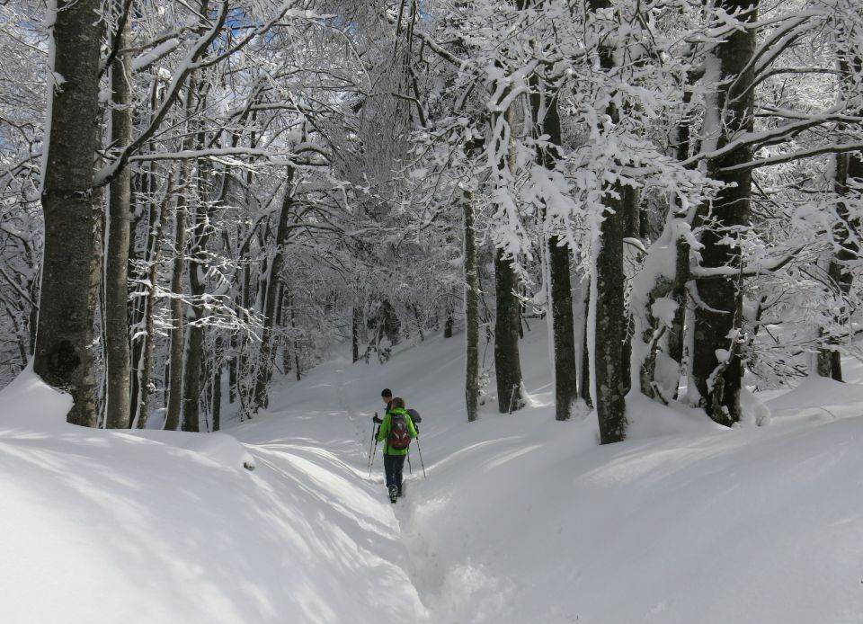 Star ljubelj, 19.02.2016 - foto povečava