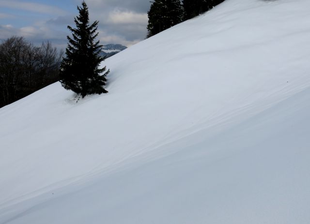 Kriška, 12.03.2016 - foto