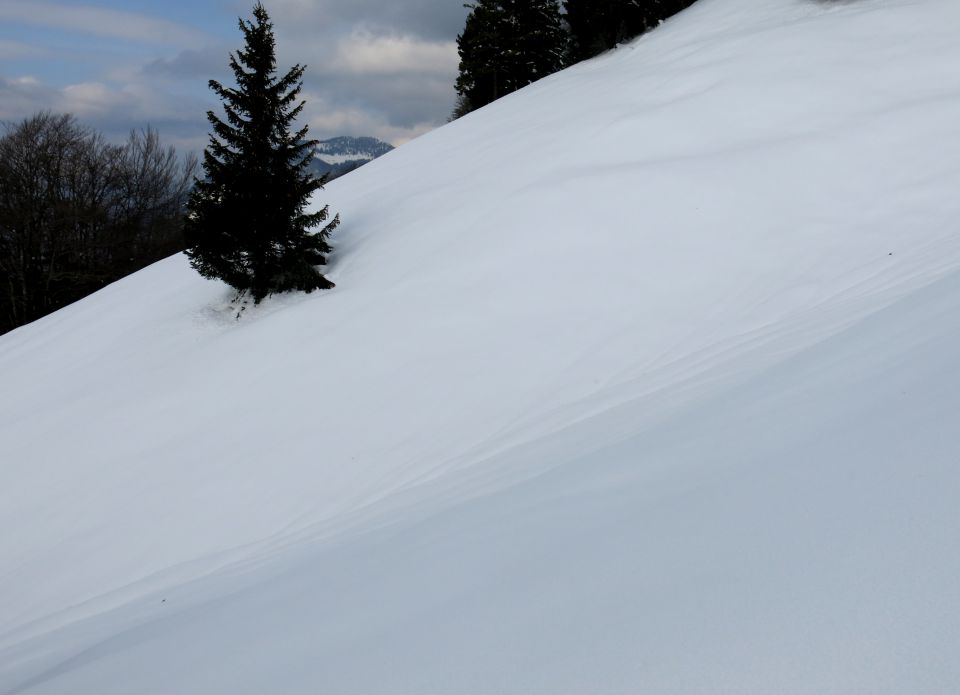 Kriška, 12.03.2016 - foto povečava