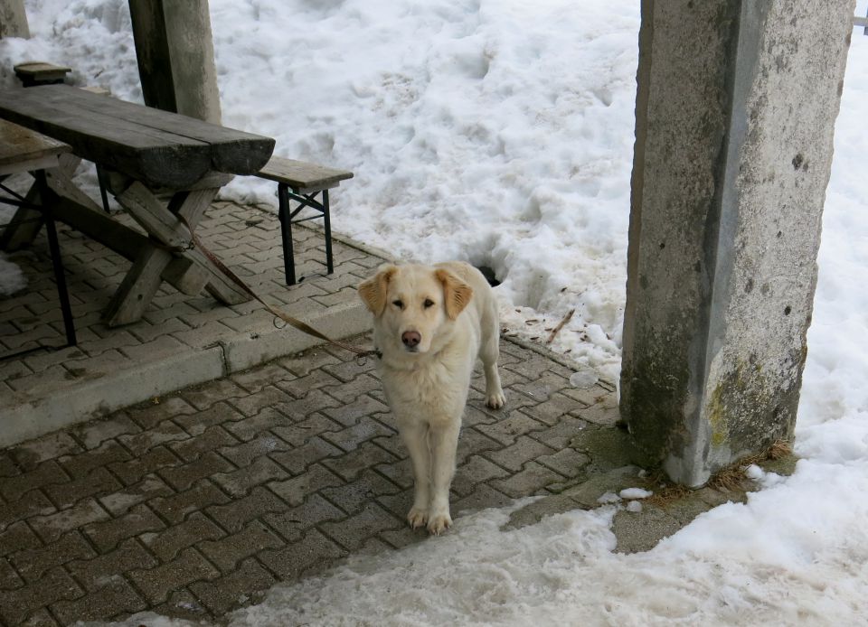 Kališče + Bašeljski vrh   27.03,2016 - foto povečava