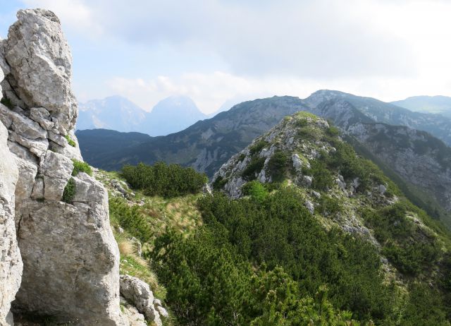 Jež, Koren, Kompotelo in Košutno   25.06.2016 - foto