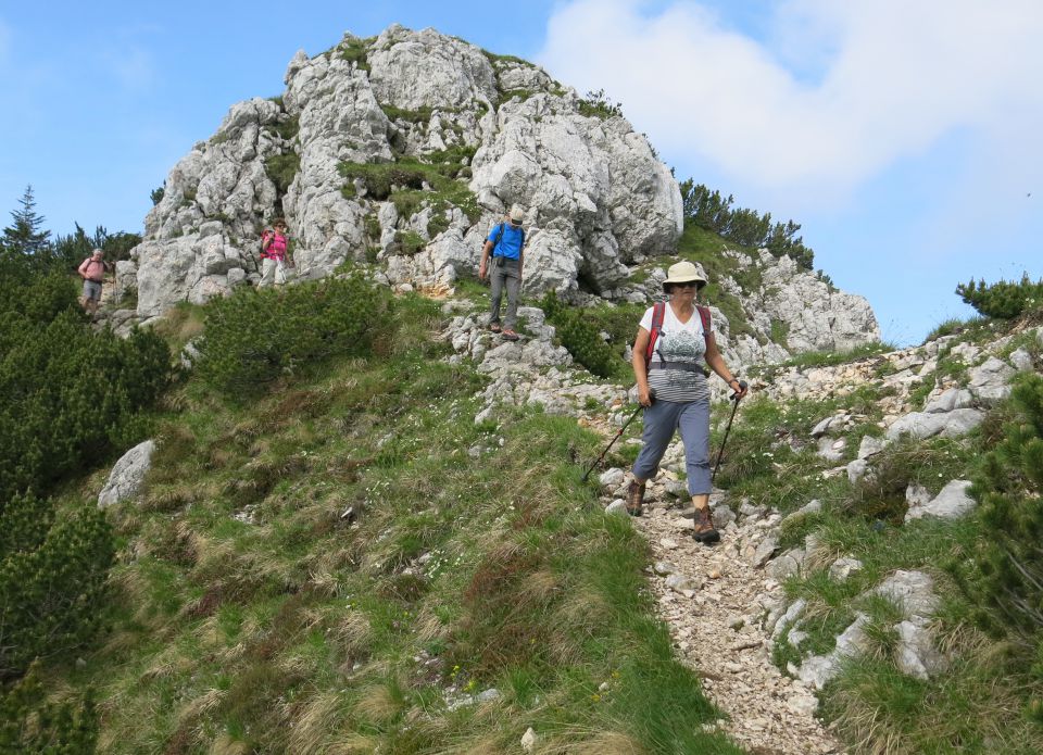 Jež, Koren, Kompotelo in Košutno   25.06.2016 - foto povečava