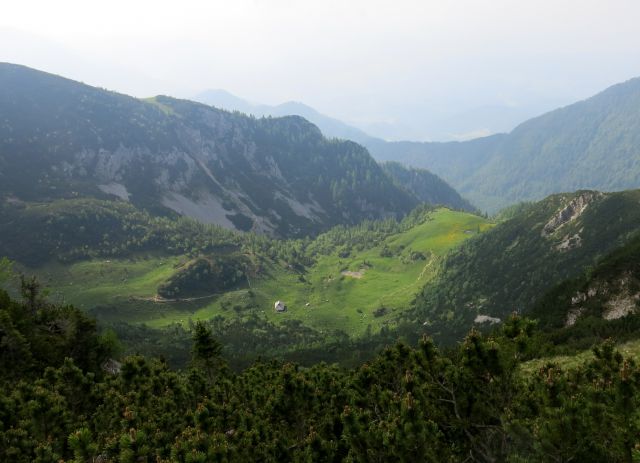 Jež, Koren, Kompotelo in Košutno   25.06.2016 - foto