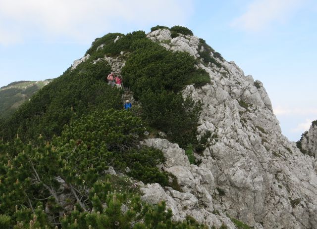 Jež, Koren, Kompotelo in Košutno   25.06.2016 - foto