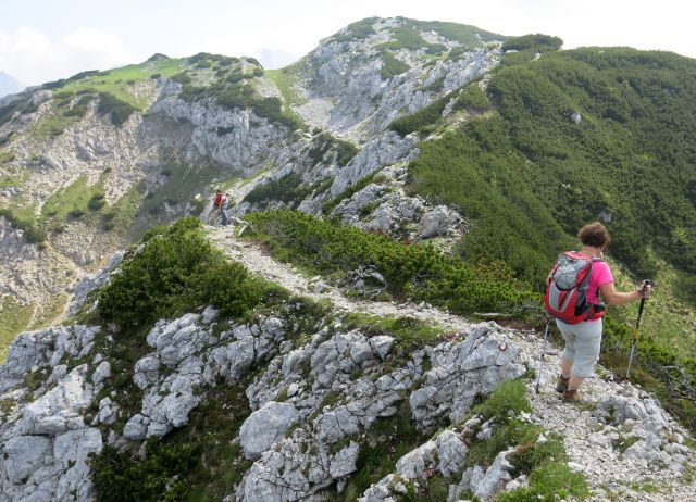 Jež, Koren, Kompotelo in Košutno   25.06.2016 - foto