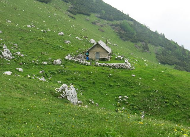 Jež, Koren, Kompotelo in Košutno   25.06.2016 - foto