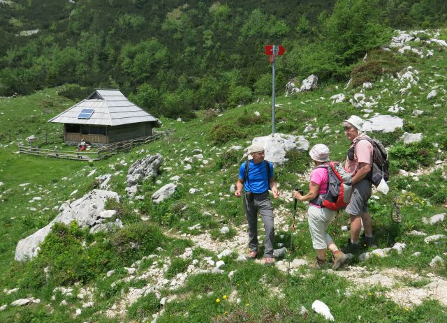 Jež, Koren, Kompotelo in Košutno   25.06.2016 - foto