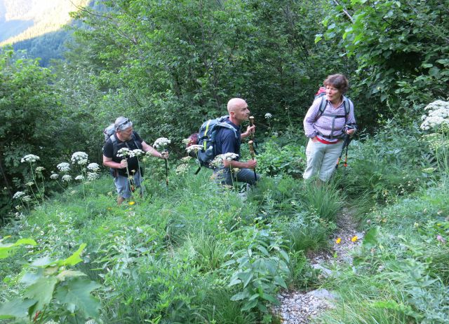 Gamsov skret, Sleme, bivak  29.06.2016 - foto