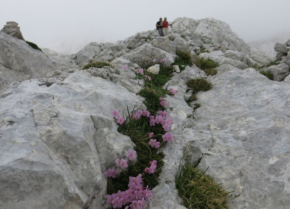 Gamsov skret, Sleme, bivak  29.06.2016 - foto povečava