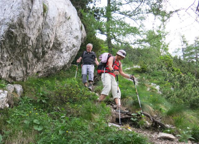 Gamsov skret, Sleme, bivak  29.06.2016 - foto