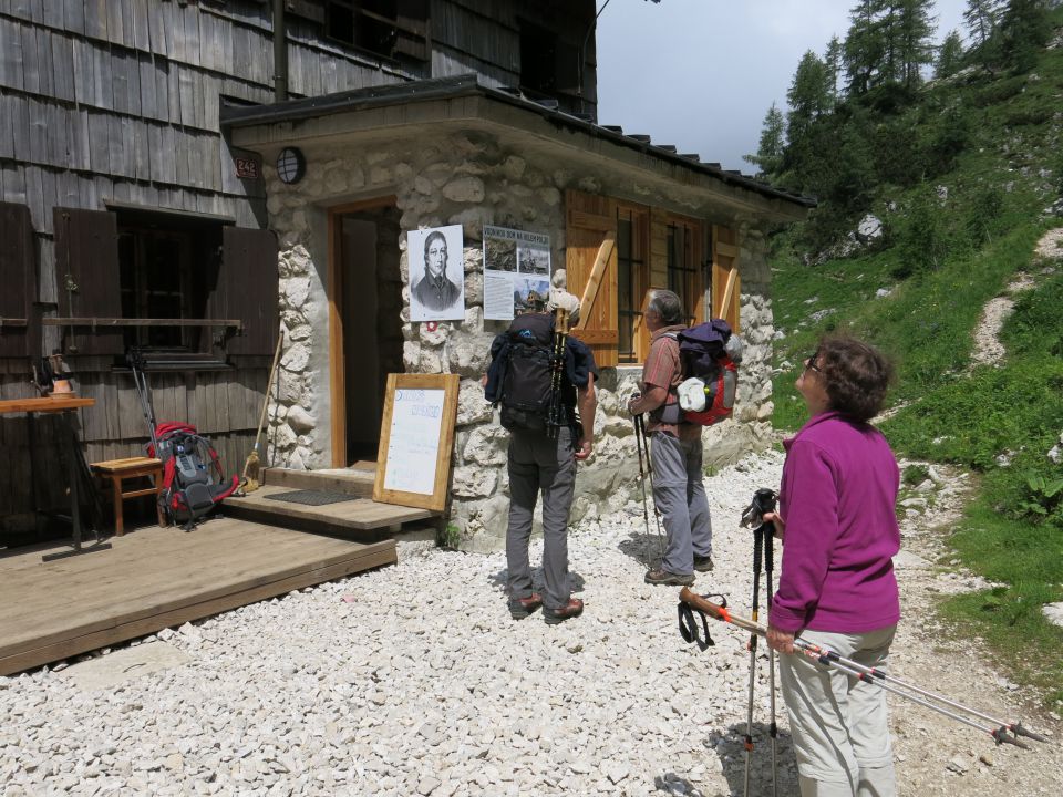 Koštrunovec,  7.7.2016 - foto povečava