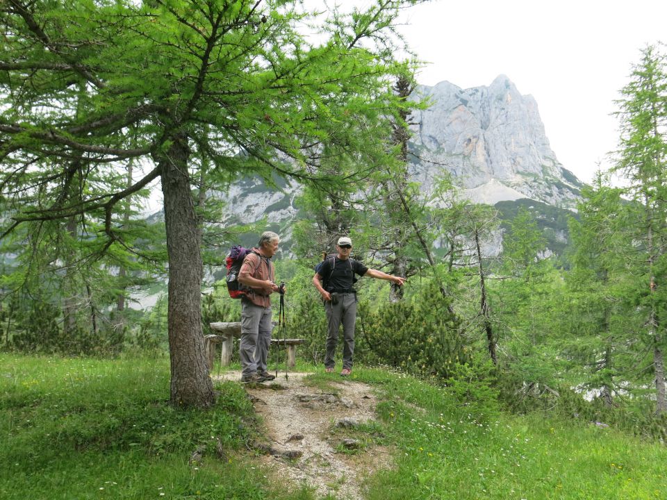 Koštrunovec,  7.7.2016 - foto povečava