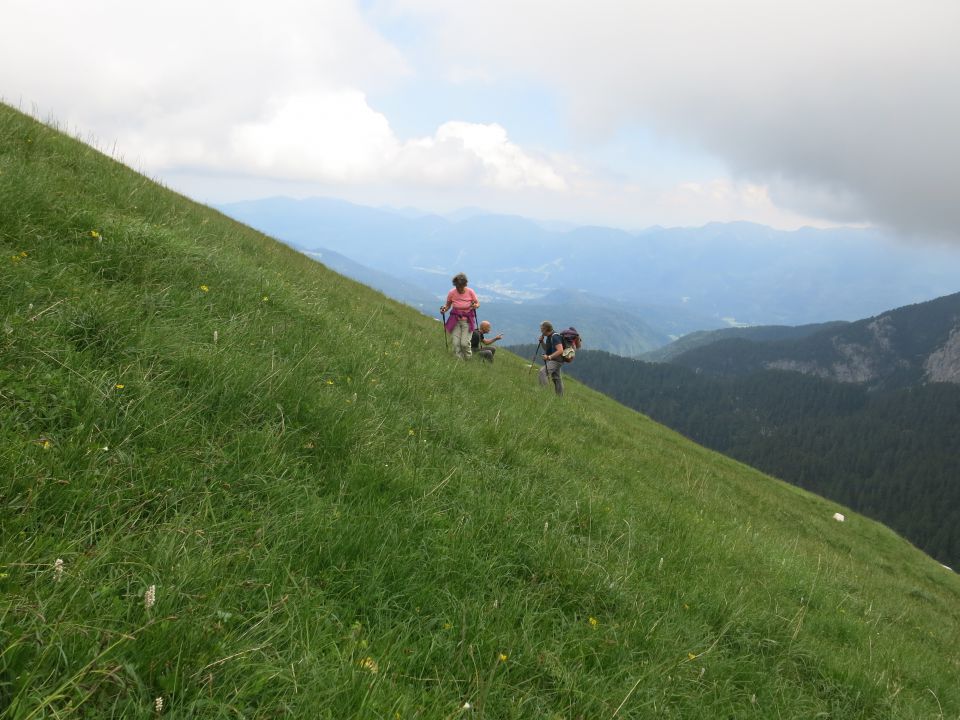 Koštrunovec,  7.7.2016 - foto povečava