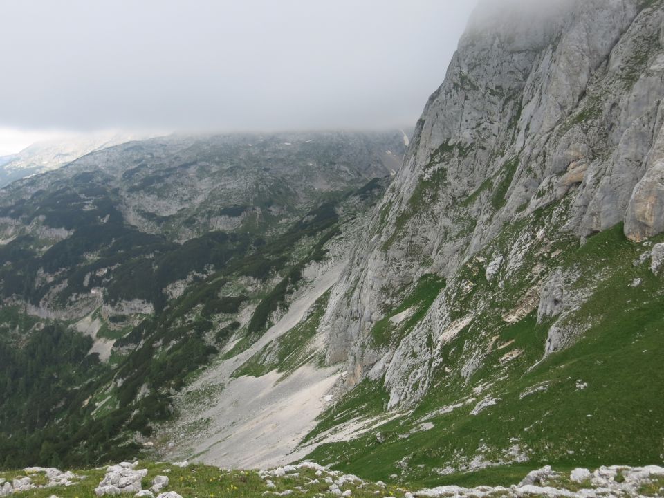 Koštrunovec,  7.7.2016 - foto povečava