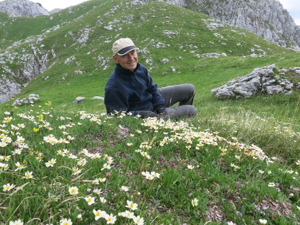 Koštrunovec,  7.7.2016 - foto povečava