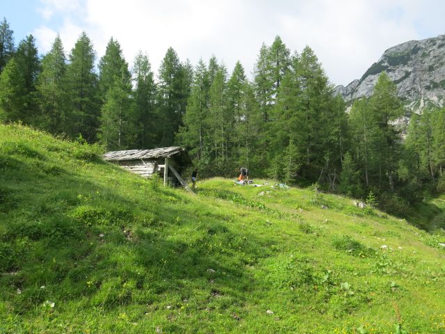 Škednjovec  8.7.2016 - foto