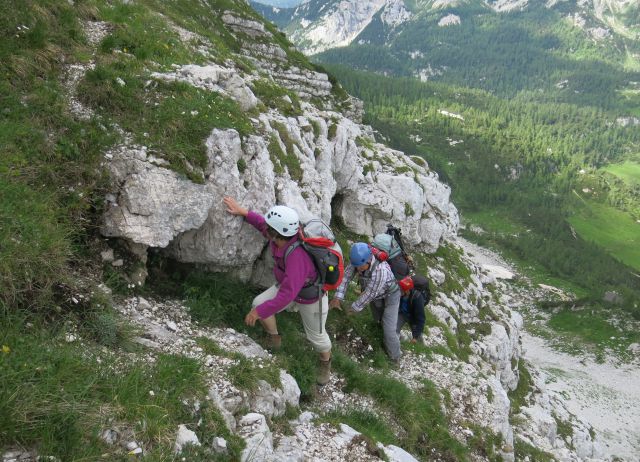 Tosc z boh. vratc  9.7.2016   - foto