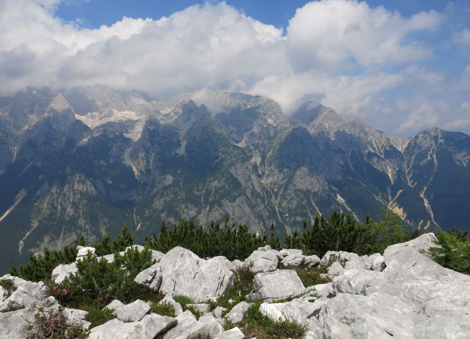 Požgana Mlinarica 12.07.2016 - foto povečava