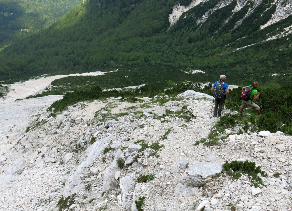 Požgana Mlinarica 12.07.2016 - foto povečava