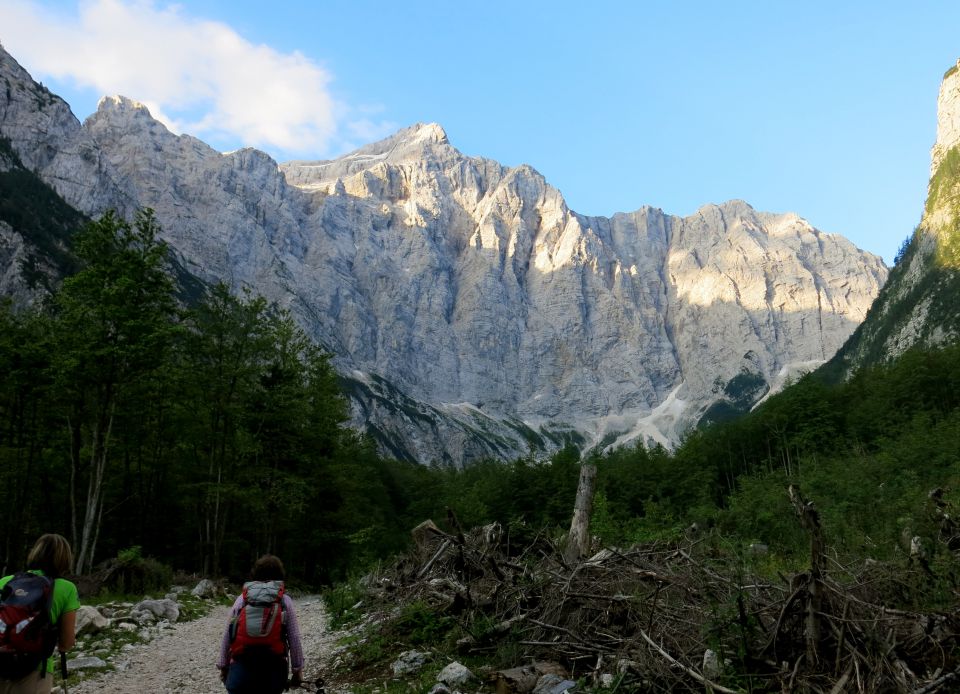 Bovški Gamsovec  19.07.2016 - foto povečava