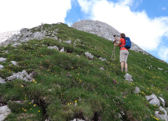 Bovški Gamsovec  19.07.2016 - foto