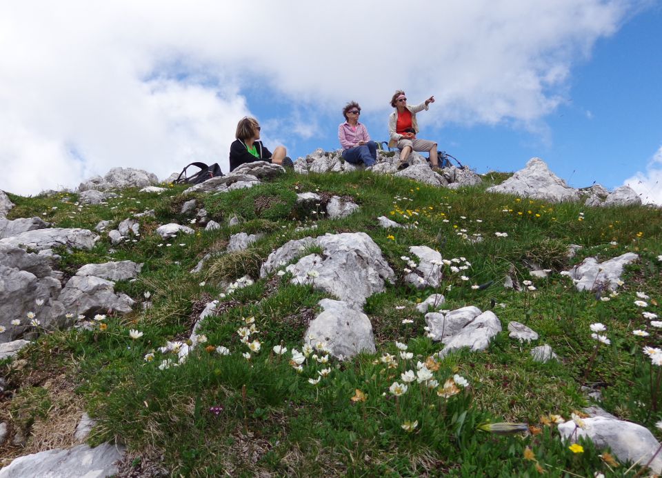 Bovški Gamsovec  19.07.2016 - foto povečava