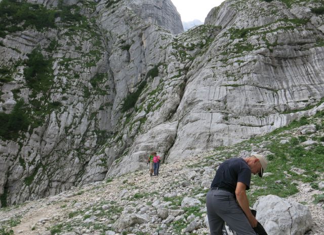 Bovški Gamsovec  19.07.2016 - foto