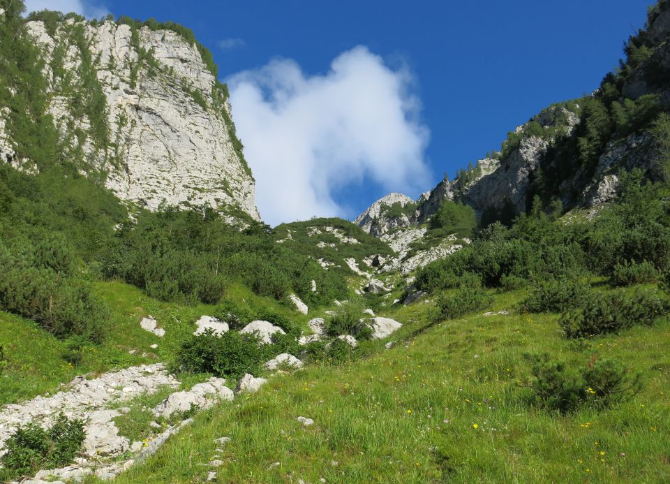 Tičarica pod Škrnatarico, 13.08.2016 - foto povečava