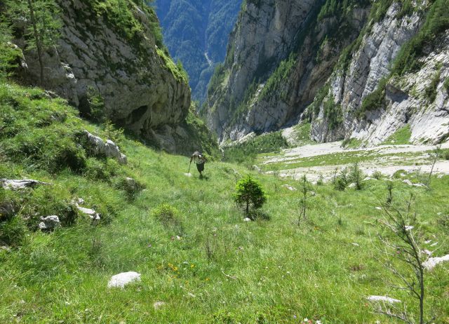 Tičarica pod Škrnatarico, 13.08.2016 - foto