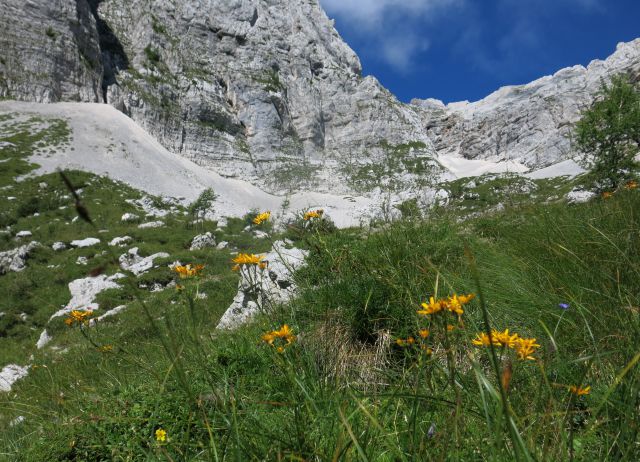 Tičarica pod Škrnatarico, 13.08.2016 - foto