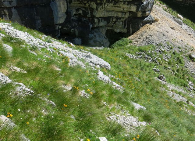 Tičarica pod Škrnatarico, 13.08.2016 - foto