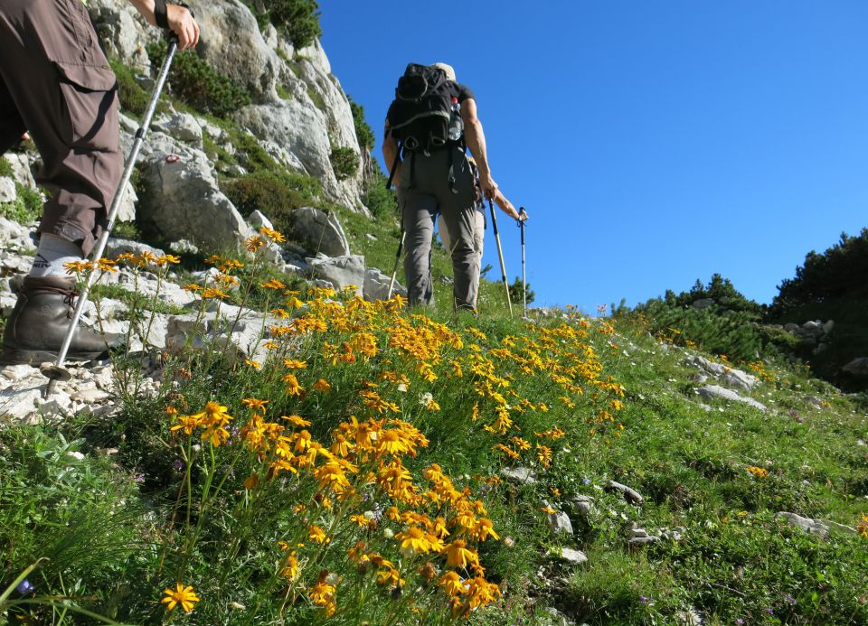 GUBNO 2404m, 24.08.2016 - foto povečava