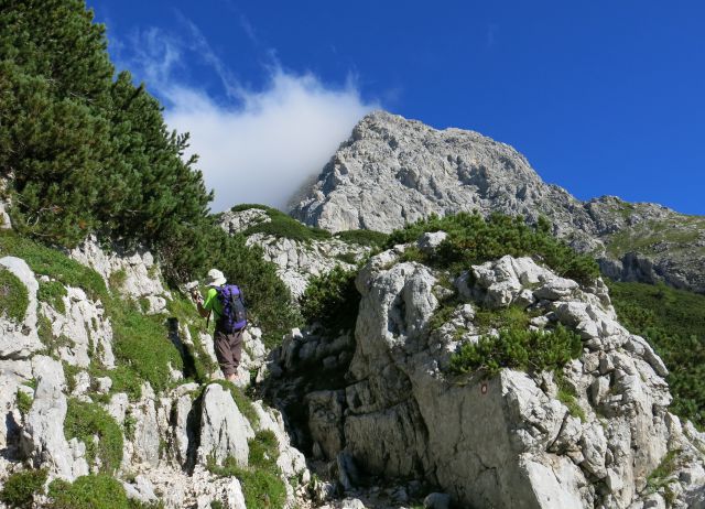 GUBNO 2404m, 24.08.2016 - foto