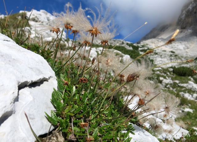 GUBNO 2404m, 24.08.2016 - foto