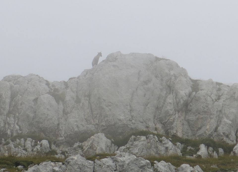 Koštrunove špice,  14.09.2016 - foto povečava