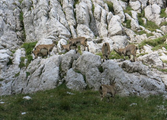 Koštrunove špice,  14.09.2016 - foto