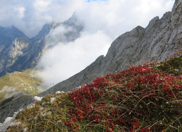 Čez Šijo na Brano,  27.09.2016 - foto