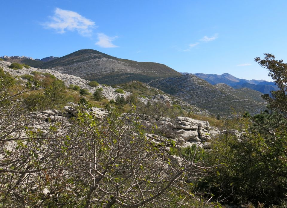 Bojin kuk, 06.10.2016 - foto povečava