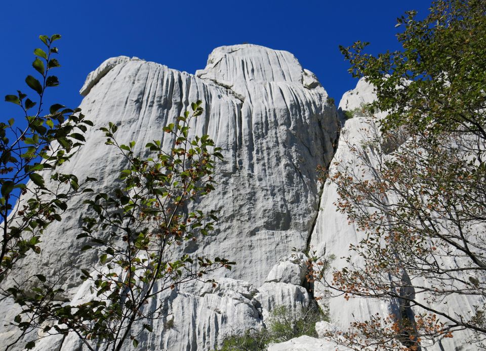 Bojin kuk, 06.10.2016 - foto povečava