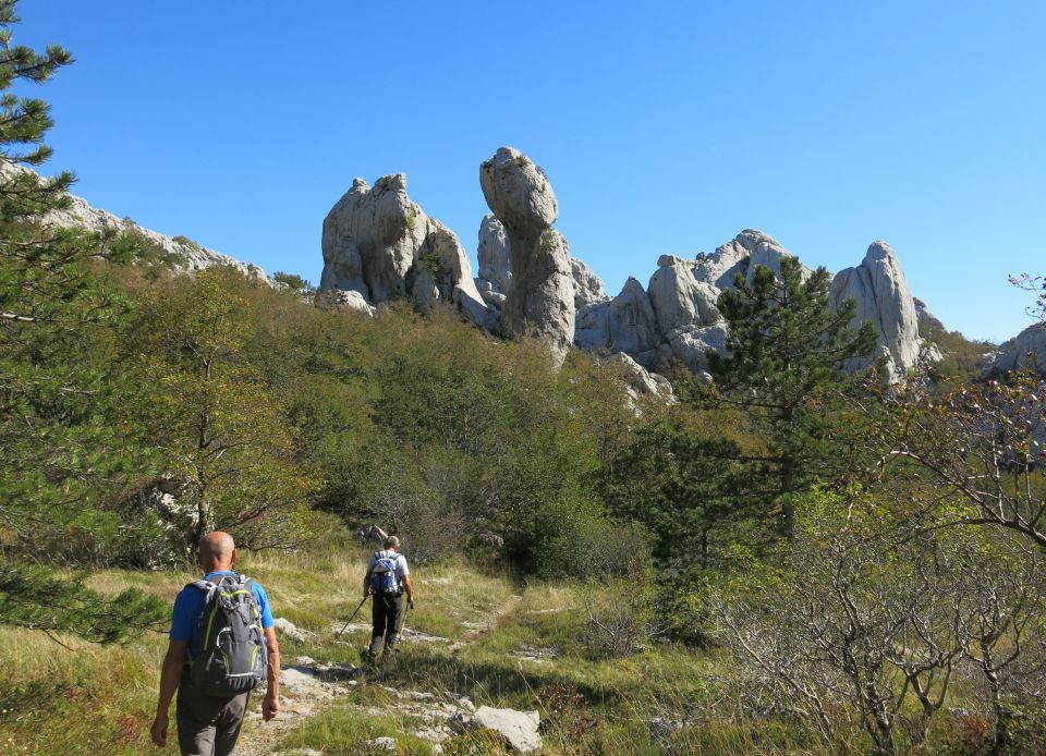 Bojin kuk, 06.10.2016 - foto povečava