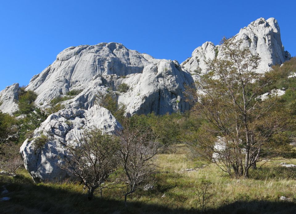 Bojin kuk, 06.10.2016 - foto povečava