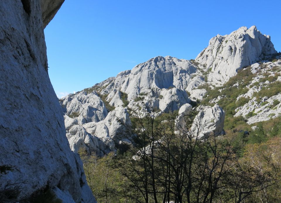 Bojin kuk, 06.10.2016 - foto povečava