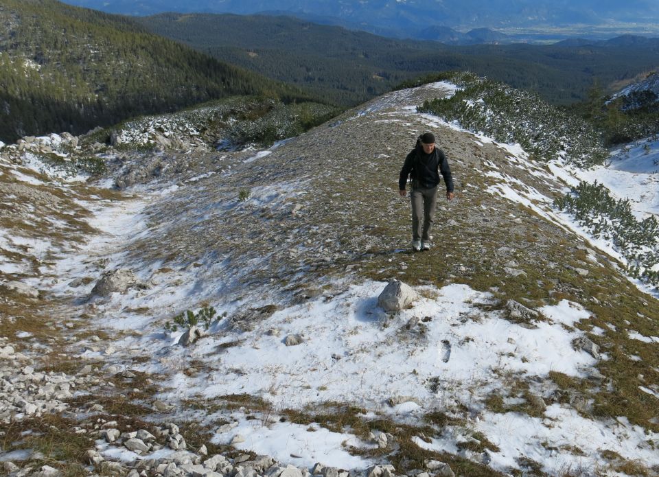 Nabiranje jerebike, 12.10.2016 - foto povečava