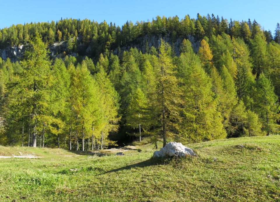 Okrog blejske  16.10.2016 - foto povečava