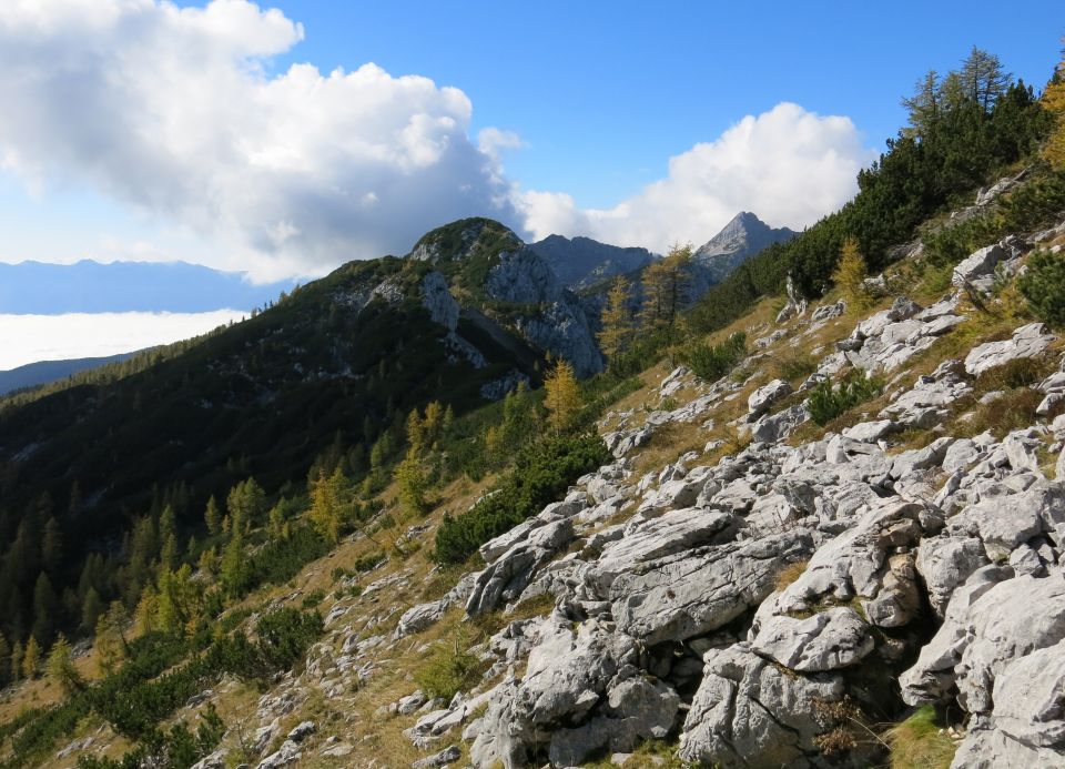 Okrog blejske  16.10.2016 - foto povečava