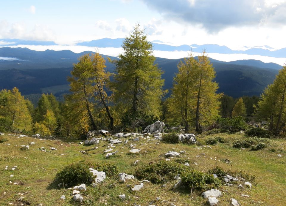 Okrog blejske  16.10.2016 - foto povečava