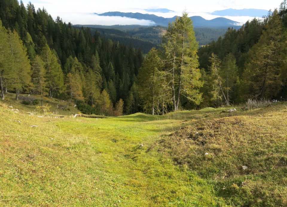 Okrog blejske  16.10.2016 - foto povečava