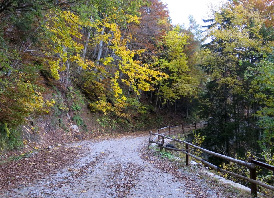 Ljubelj s Silvo, 23.10.2016 - foto povečava